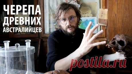 3D-сканирование. В гостях у Станислава Дробышевского. Черепа из Австралии и Явы.