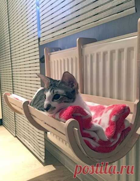 Котолежанка