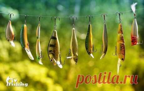 Спиннинг для н / Богатая добыча