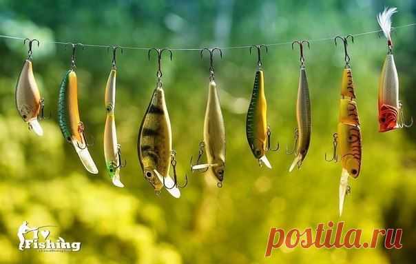 Спиннинг для н / Богатая добыча