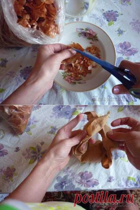 Красим яйца к пасхе