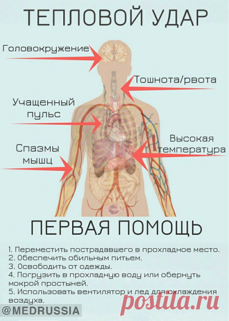 Тепловой удар. Первая помощь

Если проводить много времени на жаре, то можно получить тепловой удар. Перегрев организм – опасное состояние, которое нуждается в предоставлении пострадавшему помощи. Узнайте, как правильно оказать первую помощь при солнечном ударе. 

ОСНОВНЫЕ СИМПТОМЫ ТЕПЛОВОГО УДАРА 

При длительном пребывании на солнце у человека могут возникнуть следующие симптомы:

-головокружение; 
-головная боль; 
-слабость; 
рвота; 
-учащенный пульс; 
-учащенное дыхани...