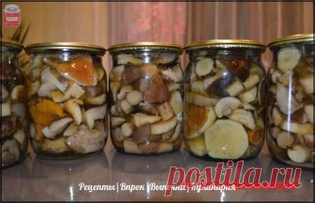 МАРИНАД ДЛЯ ГРИБОВ (Опят, маслят, белых и т. д. )
Такие грибочки даже дети будут кушать ложками! Маринад супер удачный!

Ингредиенты:
1 литр воды;
Показать полностью…