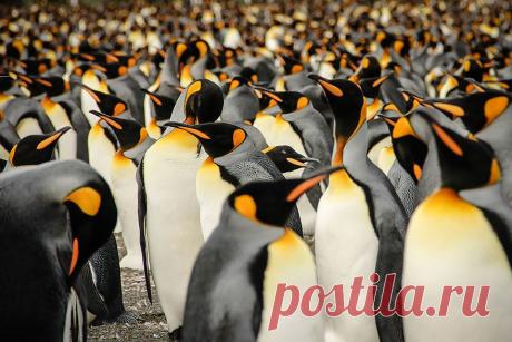 Все хозяйственные операции можно в конечном счете свести к обозначению тремя словами: ЛЮДИ, ПРОДУКТЫ, ПРИБЫЛЬ. На первом месте стоят люди. Если у вас нет надежной команды, то из остальных факторов мало что удастся сделать (Ли Энтони Якокка).