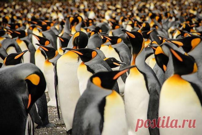 Все хозяйственные операции можно в конечном счете свести к обозначению тремя словами: ЛЮДИ, ПРОДУКТЫ, ПРИБЫЛЬ. На первом месте стоят люди. Если у вас нет надежной команды, то из остальных факторов мало что удастся сделать (Ли Энтони Якокка).