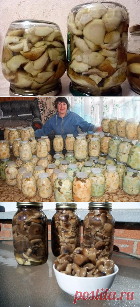 (1) Одноклассники