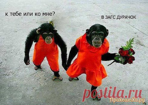НЫНЕШНЯЯ    МОЛОДЁЖЬ...!!!......21-ый    ВЕК...!!!)))))))))))))))))))))