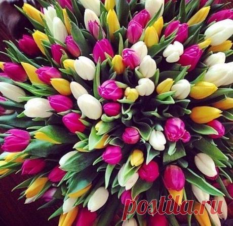 Интересные новости