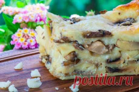 Самые вкусные рецепты: Грибная лазанья