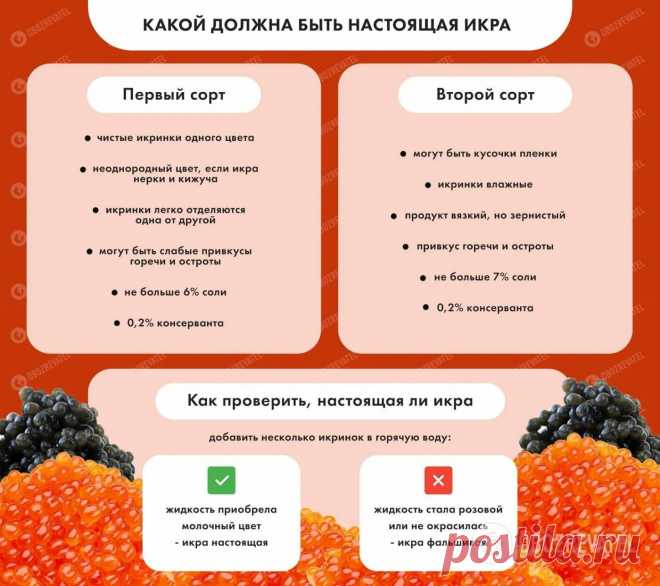 В Украине массово продают фальшивую икру: три правила, как узнать подделку | Новости