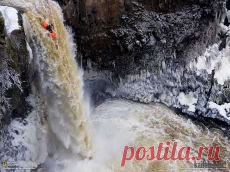 Фото приколы недели