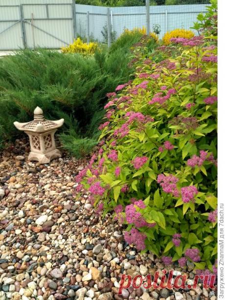 Цветник мечты, или Лень - двигатель прогресса