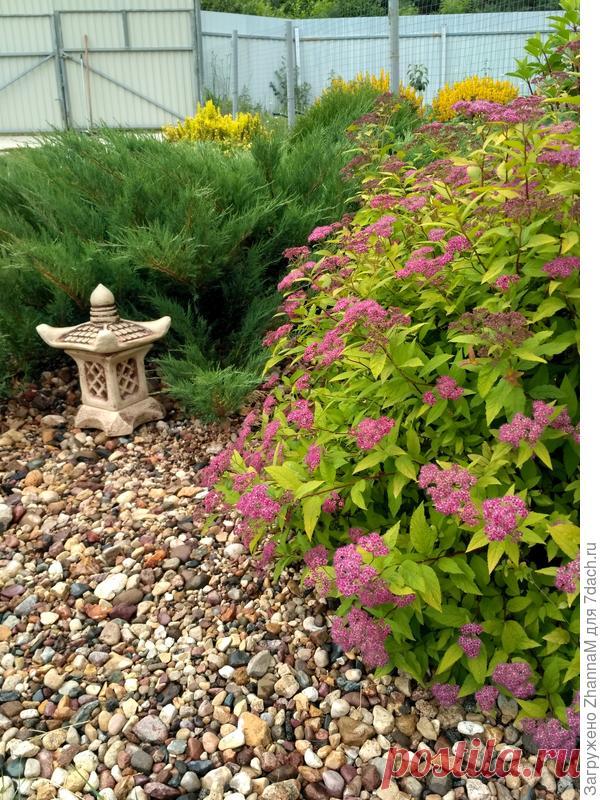 Цветник мечты, или Лень - двигатель прогресса