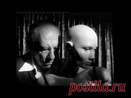 Joe Cocker - Night Calls