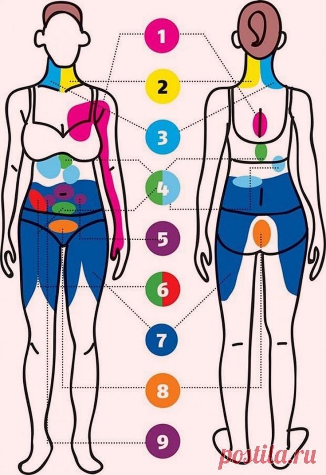 Болит рука, а лечат сердце: 9 типов отраженной боли, которые опасно игнорировать. Наш организм — сложнейшая система процессов... ЭКОЛОГИЧНОЕ СОЗНАНИЕ. Здоровье. Сыроедение и веганство. Эко - Мой Мир@Mail.ru