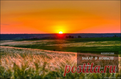 Фотопрогулки. Закат в ковыле