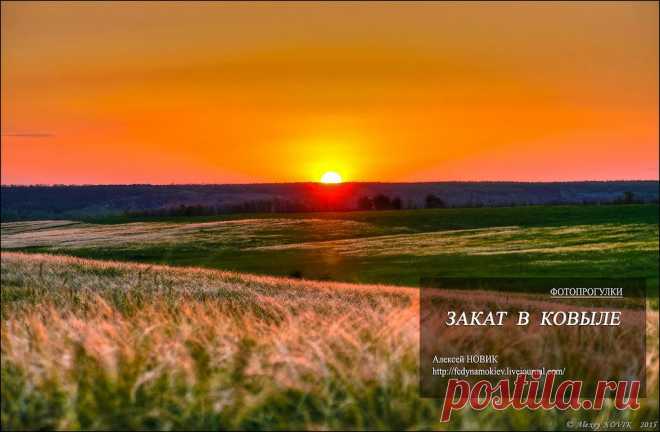 Фотопрогулки. Закат в ковыле