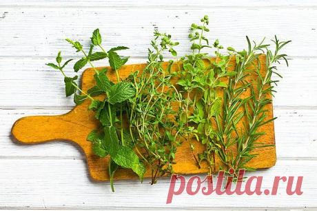 Naujas būdas ruošti žolelių atsargas stebina paprastumu | Virtuvės gudrybės | Maisto skoniai ir aromatai | skonis.lrytas.lt