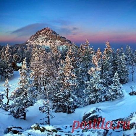 (7) Facebook