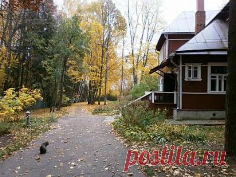 Дачный роман (Белла Ахмадулина)