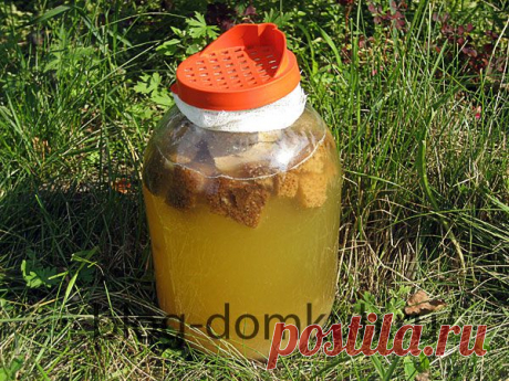 Квас хлебный домашний