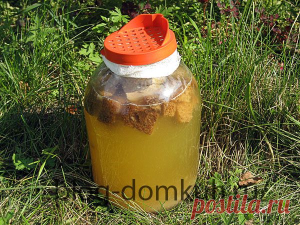 Квас хлебный домашний