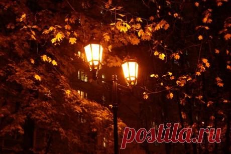 Изображение пина-истории