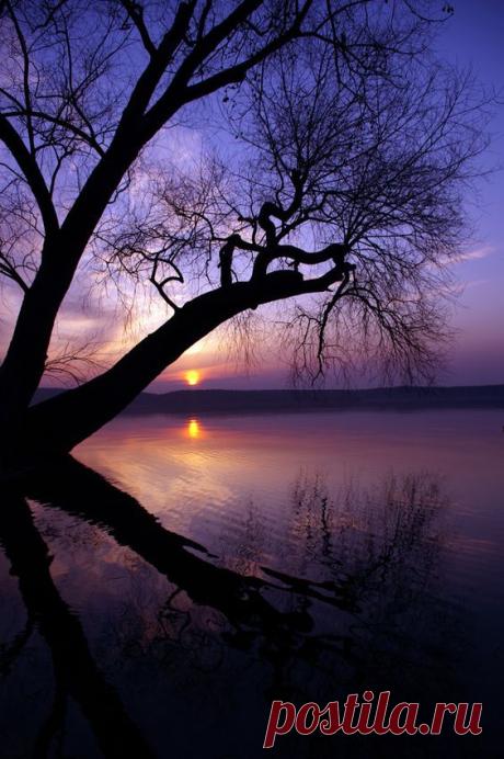 ✯ Sunset
Tumblr из Tumblr | Pinterest • Всемирный каталог идей