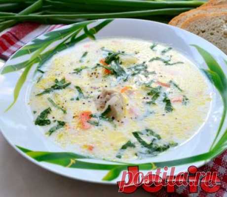 Суп из плавленных сырков с курицей рецепт с фото