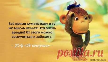 5 мудрых цитат из мультфильмов – Фитнес для мозга