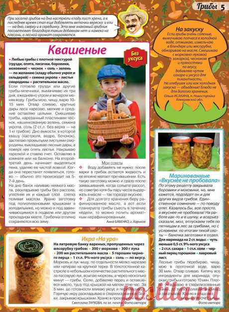 Грибы квашеные. Грибы маринованные. Икра грибная