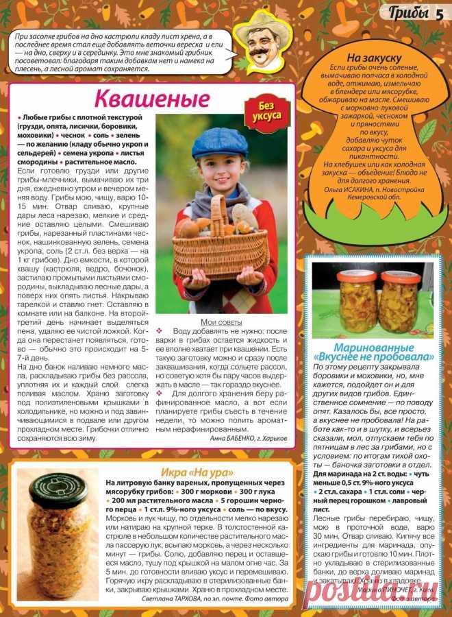 Грибы квашеные. Грибы маринованные. Икра грибная