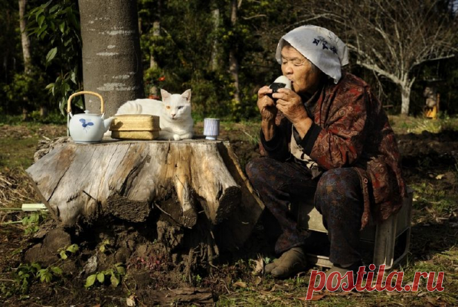 Бабушка и кот. Часть1