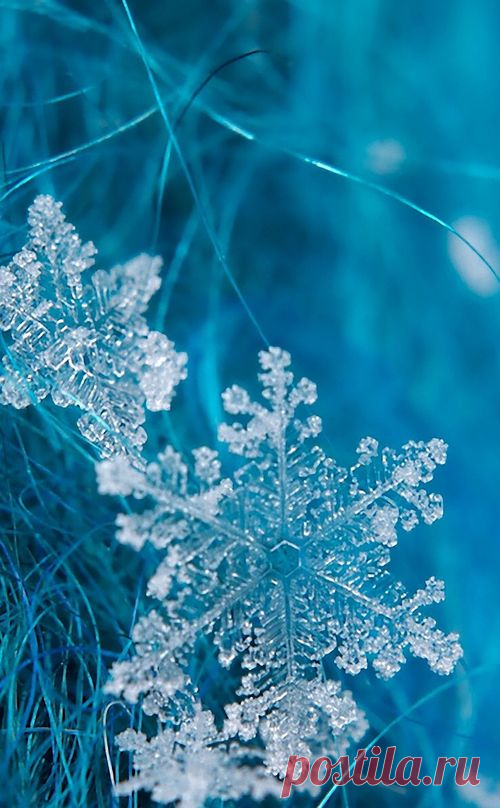 I Like It Natural And Pure...Always In The Country…
Art 42  |  Pinterest • Всемирный каталог идей