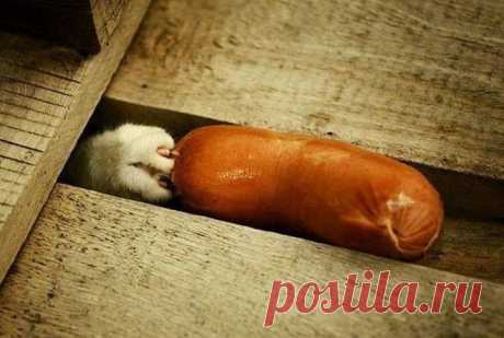 (99) Facebook