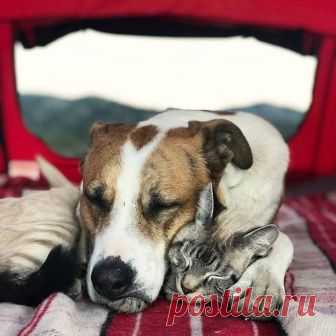 (2) Relax FM - Фото