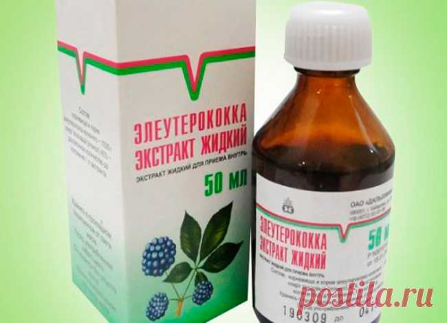 ФАРМАЦЕВТЫ СКРЫВАЮТ, ЧТО ЭТО ДЕШЕВОЕ ЛЕКАРСТВО ЗАМЕНИТ 10 ДРУГИХ! Элеутерококк — это ужасно колючий кустарник, довольно неказистый с виду. Но вот лечебная настойка, приготовленная из его корней, — вещь отличная! Очень часто жидкую настойку назначают при низком кровяном давлении: она быстро тонизирует, изгоняет вялость. Также настойку широко используют для поддержк