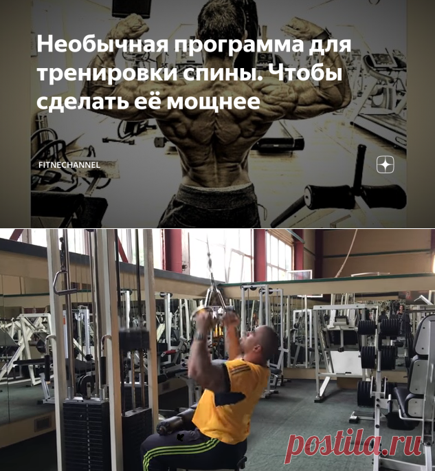 Необычная программа для тренировки спины. Чтобы сделать её мощнее | fitnechannel | Яндекс Дзен