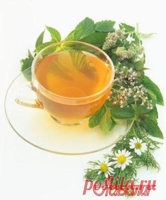 1338069268_uspokaivayuschie-travy-i-recepty-dlya-cheloveka.jpg (337×407)