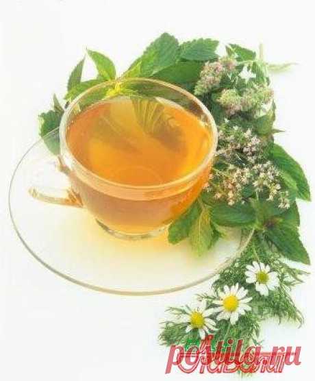 1338069268_uspokaivayuschie-travy-i-recepty-dlya-cheloveka.jpg (337×407)