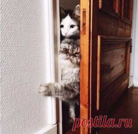 Варвары:)