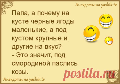 Валялась под столом от смеха)) - Page 3 of 3 - Ok'ейно