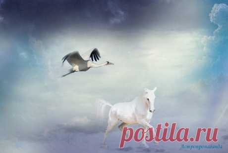 1.11.2019. Приметы этого дня ✧ Талисманы и сны | Астропропаганда | Яндекс Дзен
✨ Автор: астролог Нина Стрелкова. ✧ Приметы, талисманы, сны ✧ 1.11.2019 ✧ День связан с передачей мыслей и выяснением отношений между людьми, правдивостью и честностью. Это день пассивный, он требует восприимчивости, которая позволит понять другого человека и честно взглянуть на себя, как бы чужими глазами. День дает больше возможностей для подключения к источникам космической энергии...