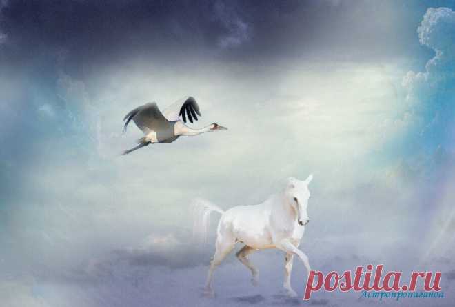 1.11.2019. Приметы этого дня ✧ Талисманы и сны | Астропропаганда | Яндекс Дзен
✨ Автор: астролог Нина Стрелкова. ✧ Приметы, талисманы, сны ✧ 1.11.2019 ✧ День связан с передачей мыслей и выяснением отношений между людьми, правдивостью и честностью. Это день пассивный, он требует восприимчивости, которая позволит понять другого человека и честно взглянуть на себя, как бы чужими глазами. День дает больше возможностей для подключения к источникам космической энергии...