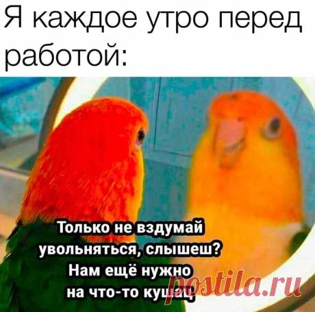 юмор про работу