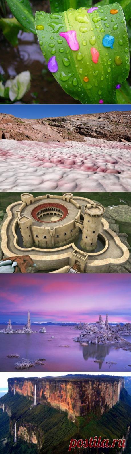 (+1) - Это интересно! | НАУКА И ЖИЗНЬ