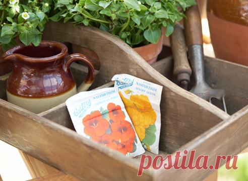 ТЫСЯЧА МЕЛОЧЕЙ ДЛЯ ПОСЕВА СЕМЯН