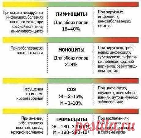 Расшифровка анализов крови.