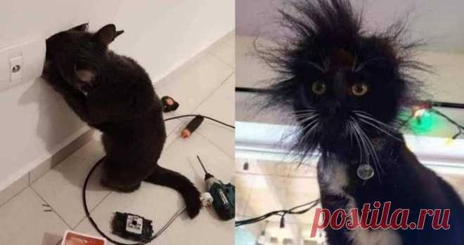 25 безумно странных фотографий, которым невозможно найти никакого объяснения
