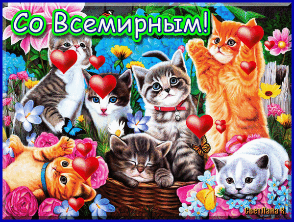 Во Всемирный праздник кошек,
Грациозных милых крошек
Поздравляю! Пусть они
Украшают ваши дни!